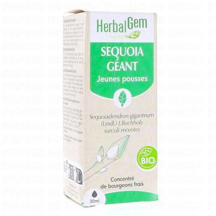 Concentré de bourgeons frais - Sequoia Géant bio 30ml