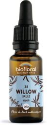FLEURS DE BACH n°38 Willow, Saule