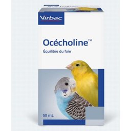 Ocecholine GTT BUV FL 50Ml