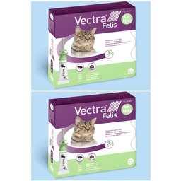 Vectra Felis