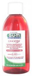 Bain de Bouche Gingidex® 0,12% Chx 300 ml - Flacon 300 ml