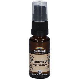 Trouver La Motivation Spray