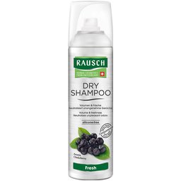 Dry Shampoo fresh
