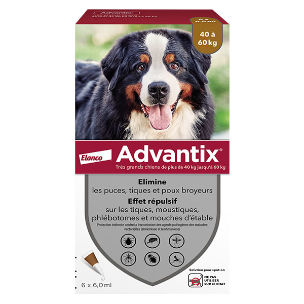Chien Solution Antiparasitaire Très Grande Race 40 à 60kg 6 pipettes