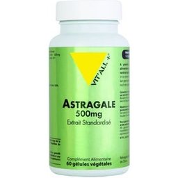 Astragale 500mg 60 Gélule