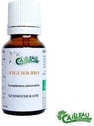Figuier gemmothérapie BIO.