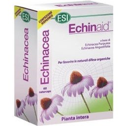 Echinaid Haute Puissance 60Cps