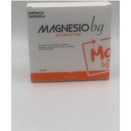 Y Magnésium Bg 20uts