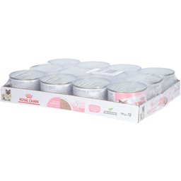 Feline Mother & Babycat