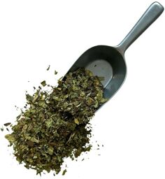 Tisane Plantain feuille 1 KILO France extra Plantago lanceolata.