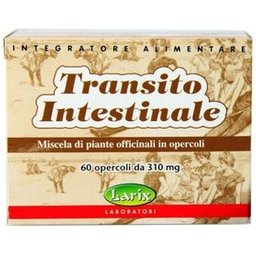 Transit Intestinal 60caps