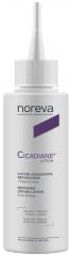 Cicadiane Lotion Lotion Asséchante Réparatrice 100 ml - Flacon 100 ml