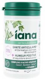 Articulations + Humeur Positive 60 Unités - Pot 60 comprimés