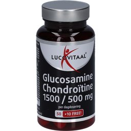 Glucosamine Chondroïtine