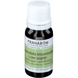 Lavandin Super Huile Essentiel