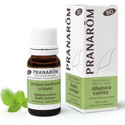 Basilic Exotiq He Bio10ml