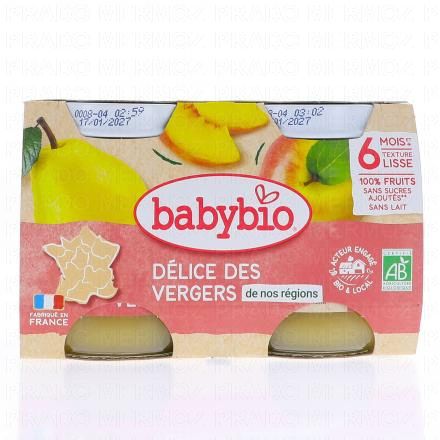 Fruits - Petits pots Délice des vergers dès 6 mois 2x130g