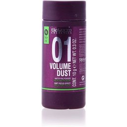 Volume Dust Poudre matifiante 10g