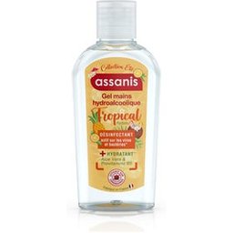 Gel Mains Hydroalcoolique Parfum Tropical 80ml
