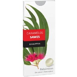 Bonbons Blister Sans Sucre Goût Eucalyptus 22g