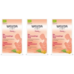 Tisane Allaitement Bio