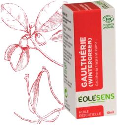 Eolesens Huile essentielle de Gaulthérie (Gaultheria fragrantissima) Wintergreen - 10ml - Éolésens - Aromathérapie