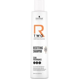R Two Resetting Shampoo Damage Hair 250ml