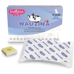 Steve Jones Nauzina 12 Plâtres