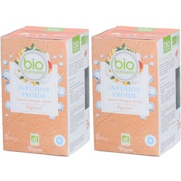 Nutrisanté Bio Infusion Froide Saveur Mangue-Pêche Digestion