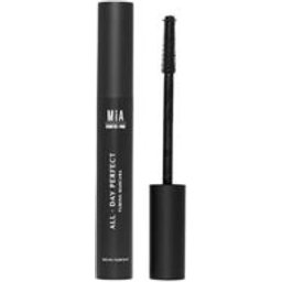 All Day Perfect Turbing Mascara 10.5ml
