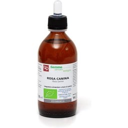 Rosa Musquée Mg Bio 1000ml