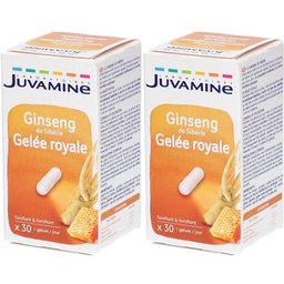 Gelée Royale Ginseng de Sibérie