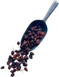 Tisane Cynorrhodon (Eglantier) baie ENTIERE Rosa canina