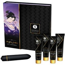 Kit Geisha coquine