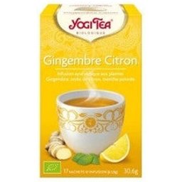 Infusion Ayurvédique Gingembre Citron 17 sachets