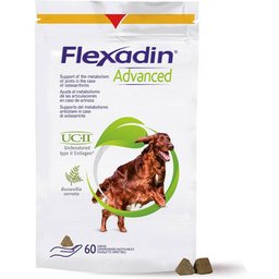Advanced + Boswellia Chien