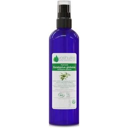 Hydrolat d'Eucalyptus Globulus Cosmos 100 ml