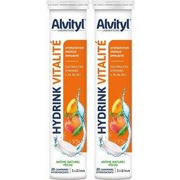 Alvityl Hydrink Vitalité