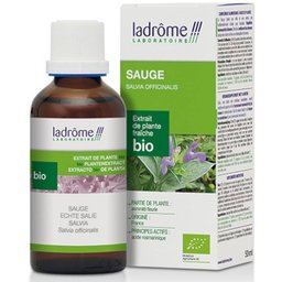 Extrait de plante fraîche Sauge Bio