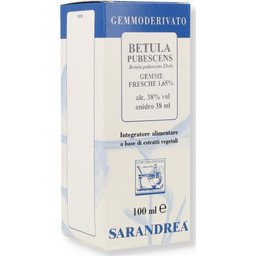 Betula Pubescens Solution Hydroalcoolique 100ml
