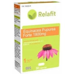 Equinácea Purpúrea Forte 1800 Mg