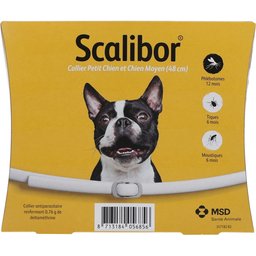 Collier pour chien moyen