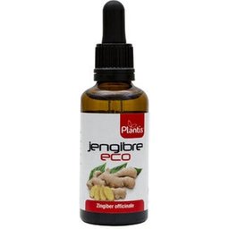 Ext. Gingembre Eco 50ml
