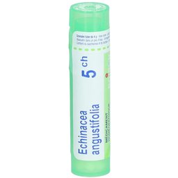 Echinacea Angustifolia 5CH tube-granules