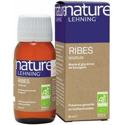 Ribes Nigrum 60ml