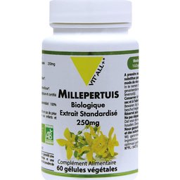 Millepertuis 60caps