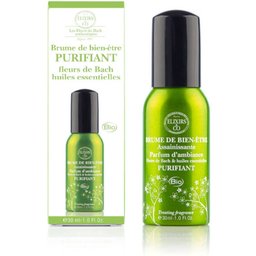 Brume de bien-être Purifiante