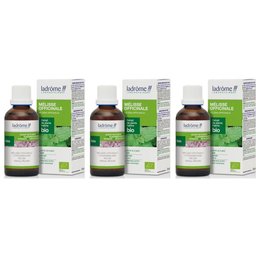 Ladrôme Extrait de plante fraîche Mélisse officinale