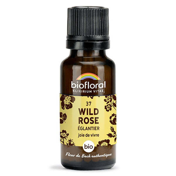 37 Wild Rose Eglantier Granules Bio Fleur De Bach Granules 19,5 Gr