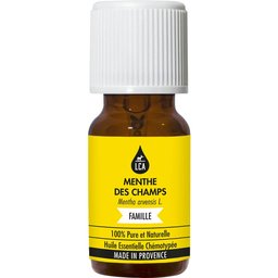 Huile Essentielle de Menthe des Champs 10ml